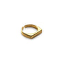 CONJUNTO ANILLO SELLO + PENDIENTES TREPADEROS
