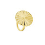 CONJUNTO PENDIENTES GRANDES + ANILLO GRANDE LIGHT